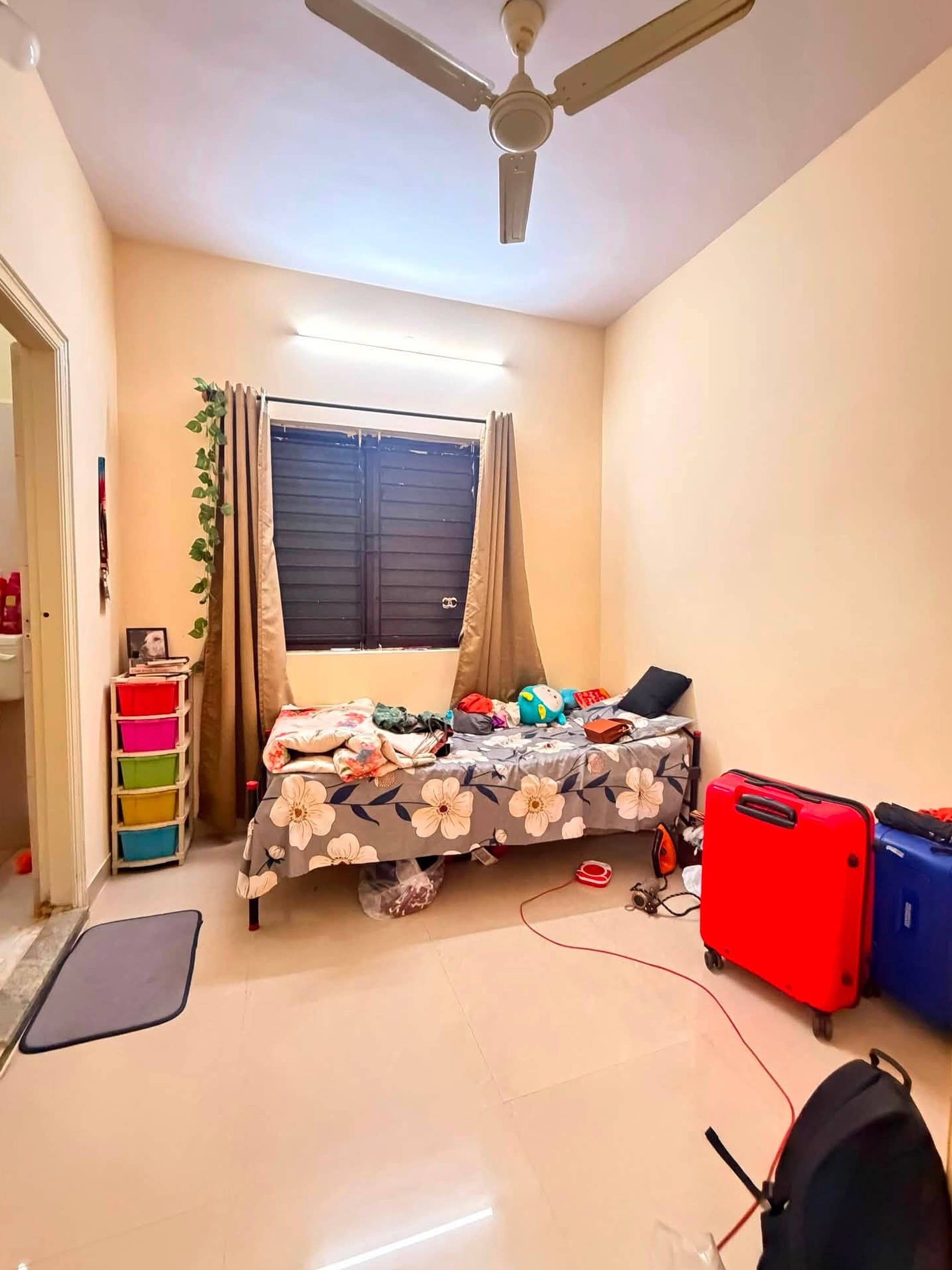 1 BHK in HSR Layout