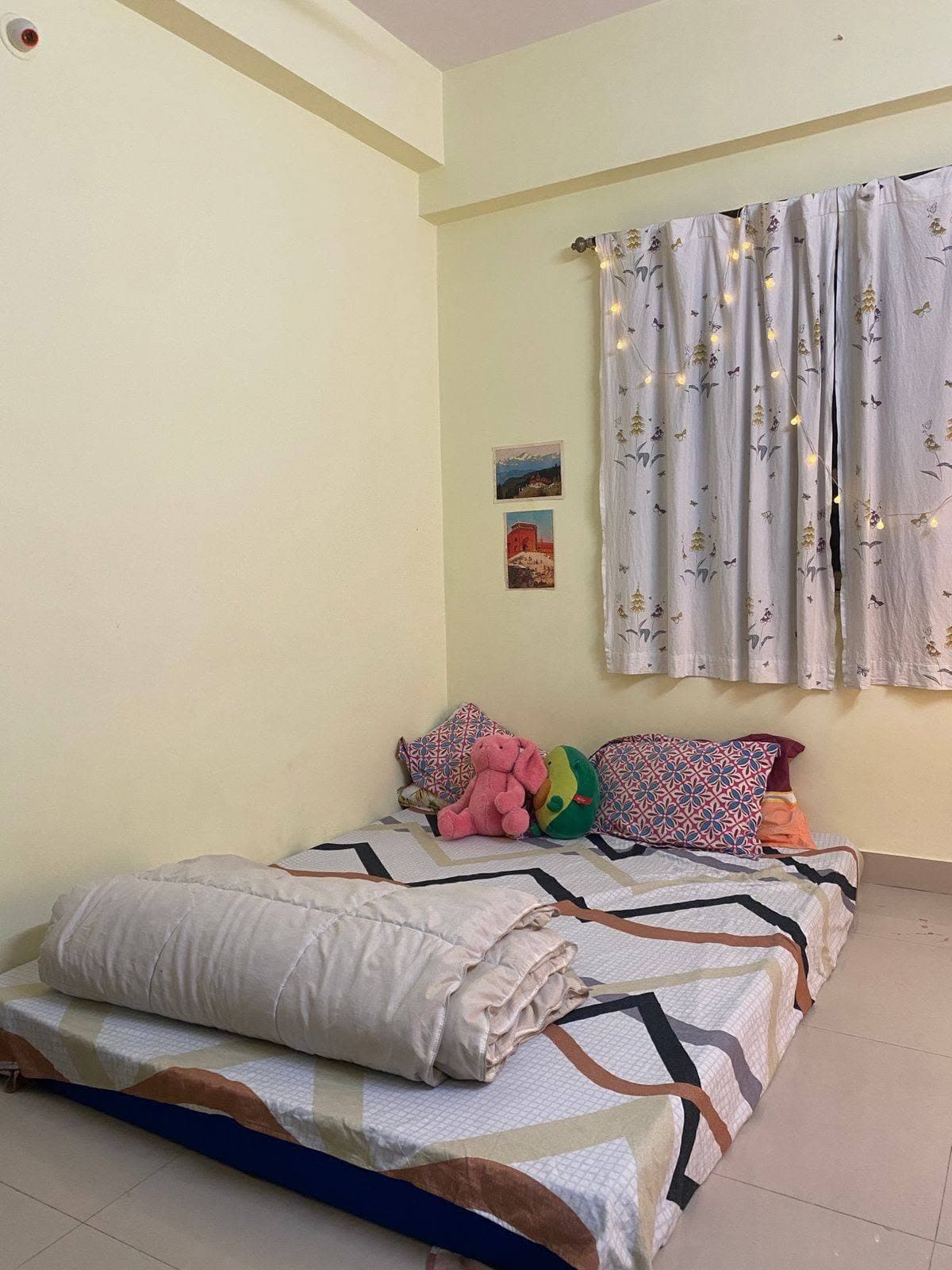 Room in BTM Layout